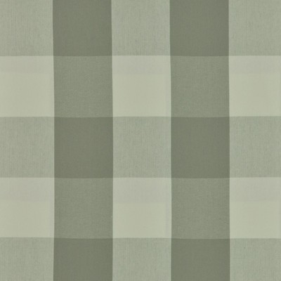 Covington BIG CHECK 96  DOVE